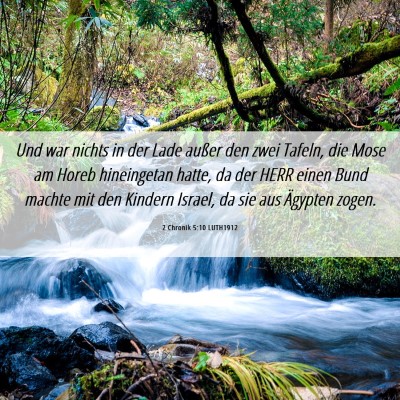 Picture 06 - 2 Chronik 5:10 LUTH1912 - Und war nichts in der Lade außer den zwei - Bible Verse Picture