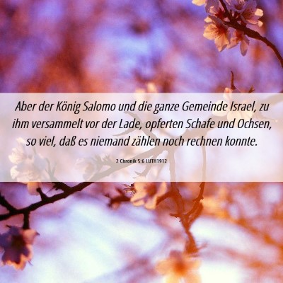 Picture 06 - 2 Chronik 5:6 LUTH1912 - Aber der König Salomo und die ganze Gemeinde - Bible Verse Picture