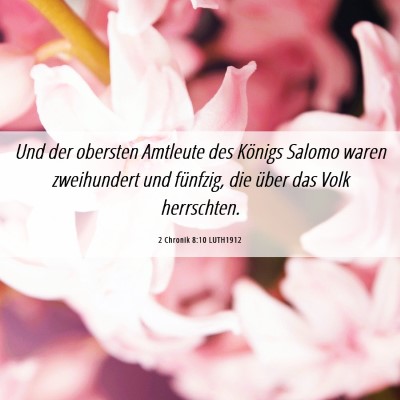 Picture 06 - 2 Chronik 8:10 LUTH1912 - Und der obersten Amtleute des Königs Salomo - Bible Verse Picture