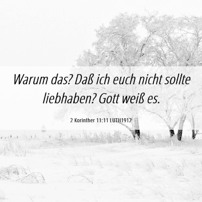 Picture 06 - 2 Korinther 11:11 LUTH1912 - Warum das? Daß ich euch nicht sollte liebhaben? - Bible Verse Picture