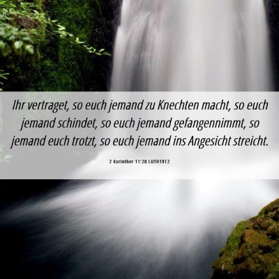 Picture 06 - 2 Korinther 11:20 LUTH1912 - Ihr vertraget, so euch jemand zu Knechten macht, - Bible Verse Picture