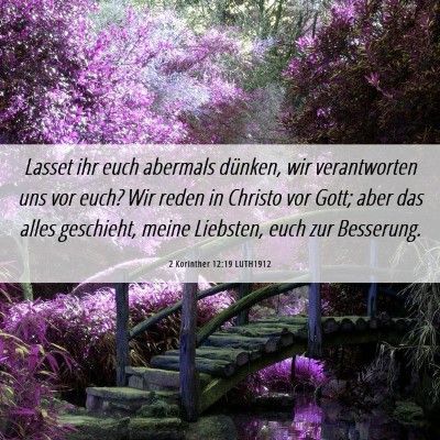 Picture 06 - 2 Korinther 12:19 LUTH1912 - Lasset ihr euch abermals dünken, wir - Bible Verse Picture