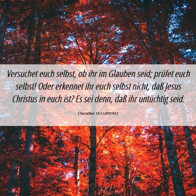 Picture 06 - 2 Korinther 13:5 LUTH1912 - Versuchet euch selbst, ob ihr im Glauben seid; - Bible Verse Picture