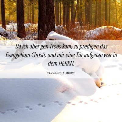 Picture 06 - 2 Korinther 2:12 LUTH1912 - Da ich aber gen Troas kam, zu predigen das - Bible Verse Picture
