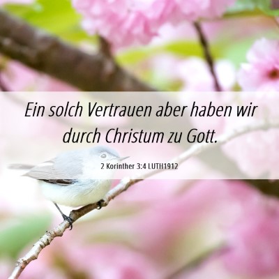 Picture 06 - 2 Korinther 3:4 LUTH1912 - Ein solch Vertrauen aber haben wir durch Christum - Bible Verse Picture