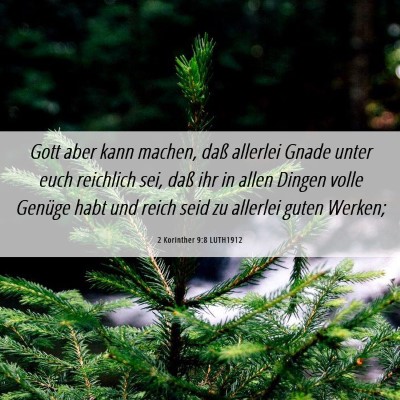 Picture 06 - 2 Korinther 9:8 LUTH1912 - Gott aber kann machen, daß allerlei Gnade unter - Bible Verse Picture