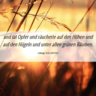 Picture 06 - 2 Könige 16:4 LUTH1912 - und tat Opfer und räucherte auf den Höhen und - Bible Verse Picture