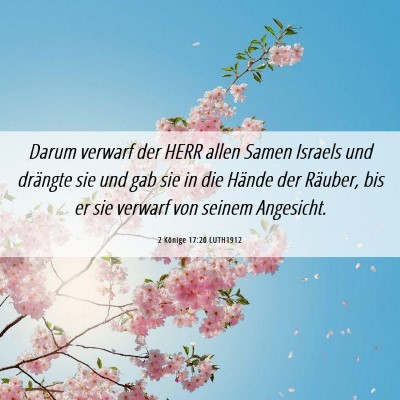 Picture 06 - 2 Könige 17:20 LUTH1912 - Darum verwarf der HERR allen Samen Israels und - Bible Verse Picture