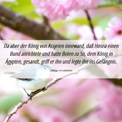 Picture 06 - 2 Könige 17:4 LUTH1912 - Da aber der König von Assyrien inneward, daß - Bible Verse Picture