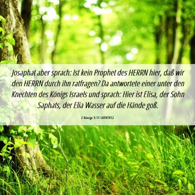 Picture 06 - 2 Könige 3:11 LUTH1912 - Josaphat aber sprach: Ist kein Prophet des HERRN - Bible Verse Picture
