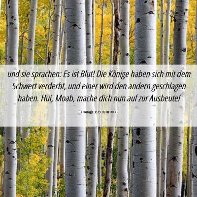 Picture 06 - 2 Könige 3:23 LUTH1912 - und sie sprachen: Es ist Blut! Die Könige haben - Bible Verse Picture