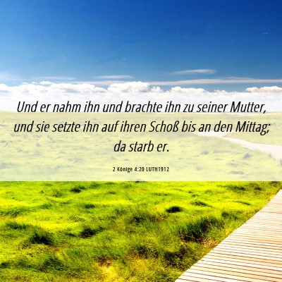 Picture 06 - 2 Könige 4:20 LUTH1912 - Und er nahm ihn und brachte ihn zu seiner Mutter, - Bible Verse Picture