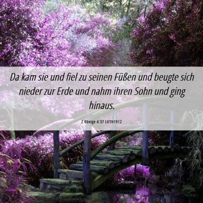 Picture 06 - 2 Könige 4:37 LUTH1912 - Da kam sie und fiel zu seinen Füßen und beugte - Bible Verse Picture
