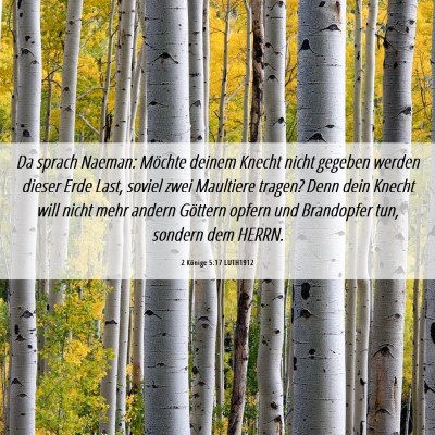 Picture 06 - 2 Könige 5:17 LUTH1912 - Da sprach Naeman: Möchte deinem Knecht nicht - Bible Verse Picture
