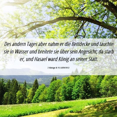 Picture 06 - 2 Könige 8:15 LUTH1912 - Des andern Tages aber nahm er die Bettdecke und - Bible Verse Picture