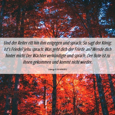 Picture 06 - 2 Könige 9:18 LUTH1912 - Und der Reiter ritt hin ihm entgegen und sprach: - Bible Verse Picture