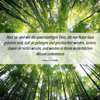 Picture 06 - 2 Petrus 2:12 LUTH1912 - Aber sie sind wie die unvernünftigen Tiere, die - Bible Verse Picture