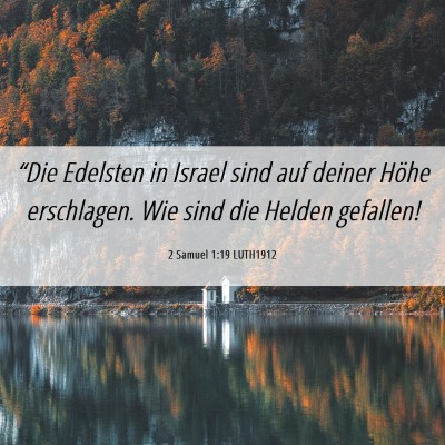 Picture 06 - 2 Samuel 1:19 LUTH1912 - “Die Edelsten in Israel sind auf deiner Höhe - Bible Verse Picture