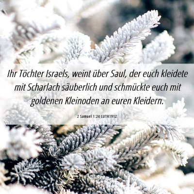 Picture 06 - 2 Samuel 1:24 LUTH1912 - Ihr Töchter Israels, weint über Saul, der euch - Bible Verse Picture