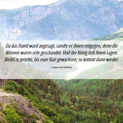 Picture 06 - 2 Samuel 10:5 LUTH1912 - Da das David ward angesagt, sandte er ihnen - Bible Verse Picture