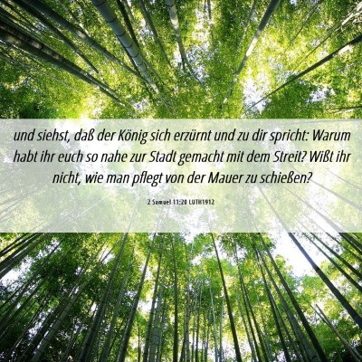 Picture 06 - 2 Samuel 11:20 LUTH1912 - und siehst, daß der König sich erzürnt und zu - Bible Verse Picture
