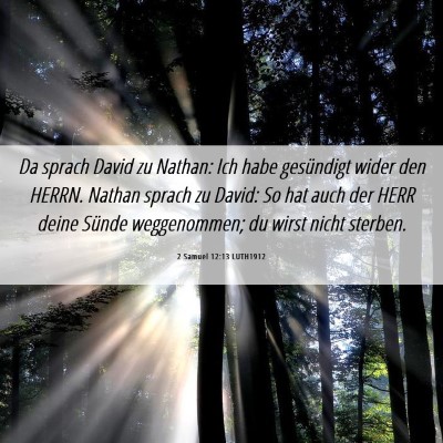 Picture 06 - 2 Samuel 12:13 LUTH1912 - Da sprach David zu Nathan: Ich habe gesündigt - Bible Verse Picture