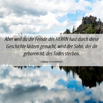 Picture 06 - 2 Samuel 12:14 LUTH1912 - Aber weil du die Feinde des HERRN hast durch - Bible Verse Picture