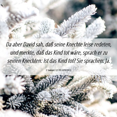 Picture 06 - 2 Samuel 12:19 LUTH1912 - Da aber David sah, daß seine Knechte leise - Bible Verse Picture