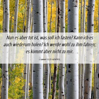 Picture 06 - 2 Samuel 12:23 LUTH1912 - Nun es aber tot ist, was soll ich fasten? Kann - Bible Verse Picture