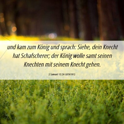 Picture 06 - 2 Samuel 13:24 LUTH1912 - und kam zum König und sprach: Siehe, dein Knecht - Bible Verse Picture