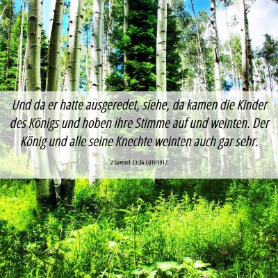Picture 06 - 2 Samuel 13:36 LUTH1912 - Und da er hatte ausgeredet, siehe, da kamen die - Bible Verse Picture