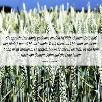 Picture 06 - 2 Samuel 14:11 LUTH1912 - Sie sprach: Der König gedenke an den HERRN, - Bible Verse Picture