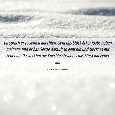 Picture 06 - 2 Samuel 14:30 LUTH1912 - Da sprach er zu seinen Knechten: Seht das Stück - Bible Verse Picture