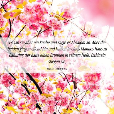 Picture 06 - 2 Samuel 17:18 LUTH1912 - Es sah sie aber ein Knabe und sagte es Absalom - Bible Verse Picture
