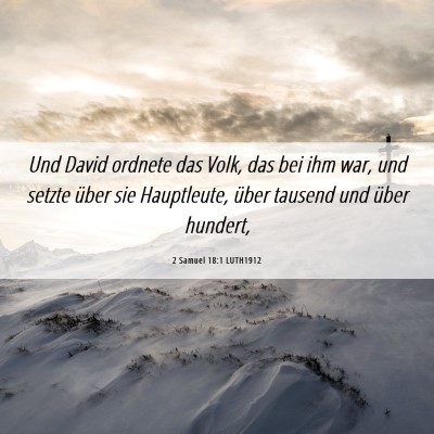 Picture 06 - 2 Samuel 18:1 LUTH1912 - Und David ordnete das Volk, das bei ihm war, und - Bible Verse Picture