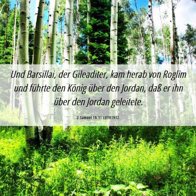 Picture 06 - 2 Samuel 19:31 LUTH1912 - Und Barsillai, der Gileaditer, kam herab von - Bible Verse Picture