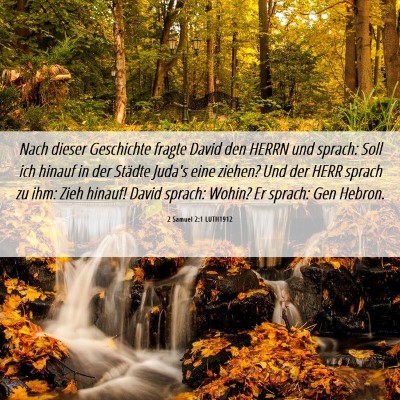 Picture 06 - 2 Samuel 2:1 LUTH1912 - Nach dieser Geschichte fragte David den HERRN und - Bible Verse Picture