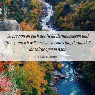 Picture 06 - 2 Samuel 2:6 LUTH1912 - So tue nun an euch der HERR Barmherzigkeit und - Bible Verse Picture