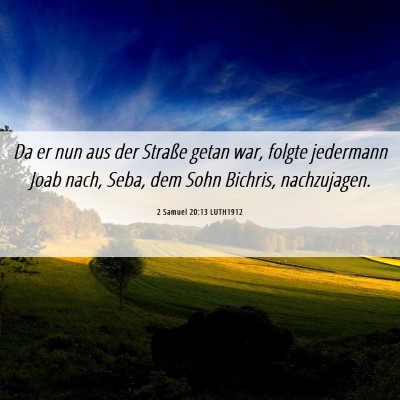 Picture 06 - 2 Samuel 20:13 LUTH1912 - Da er nun aus der Straße getan war, folgte - Bible Verse Picture