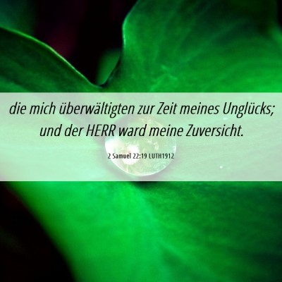 Picture 06 - 2 Samuel 22:19 LUTH1912 - die mich überwältigten zur Zeit meines - Bible Verse Picture