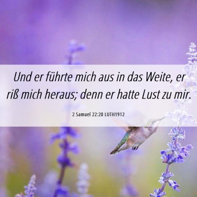 Picture 06 - 2 Samuel 22:20 LUTH1912 - Und er führte mich aus in das Weite, er riß - Bible Verse Picture