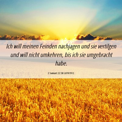 Picture 06 - 2 Samuel 22:38 LUTH1912 - Ich will meinen Feinden nachjagen und sie - Bible Verse Picture