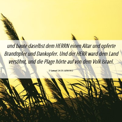Picture 06 - 2 Samuel 24:25 LUTH1912 - und baute daselbst dem HERRN einen Altar und - Bible Verse Picture