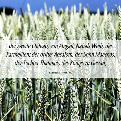 Picture 06 - 2 Samuel 3:3 LUTH1912 - der zweite Chileab, von Abigail, Nabals Weib, des - Bible Verse Picture