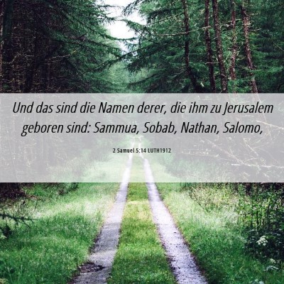 Picture 06 - 2 Samuel 5:14 LUTH1912 - Und das sind die Namen derer, die ihm zu - Bible Verse Picture