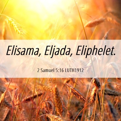 Picture 06 - 2 Samuel 5:16 LUTH1912 - Elisama, Eljada, - Bible Verse Picture