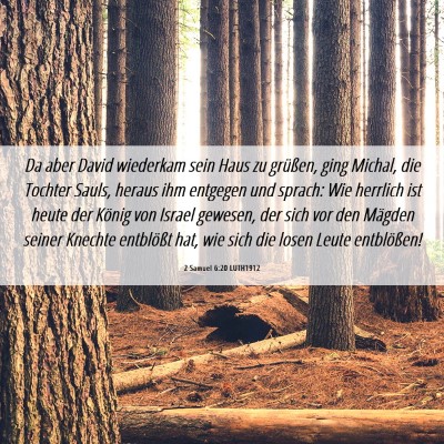 Picture 06 - 2 Samuel 6:20 LUTH1912 - Da aber David wiederkam sein Haus zu grüßen, - Bible Verse Picture