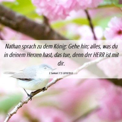 Picture 06 - 2 Samuel 7:3 LUTH1912 - Nathan sprach zu dem König: Gehe hin; alles, was - Bible Verse Picture