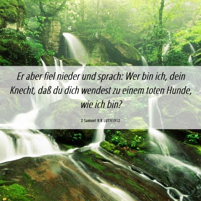 Picture 06 - 2 Samuel 9:8 LUTH1912 - Er aber fiel nieder und sprach: Wer bin ich, dein - Bible Verse Picture