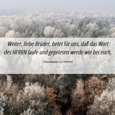 Picture 06 - 2 Thessalonicher 3:1 LUTH1912 - Weiter, liebe Brüder, betet für uns, daß das - Bible Verse Picture